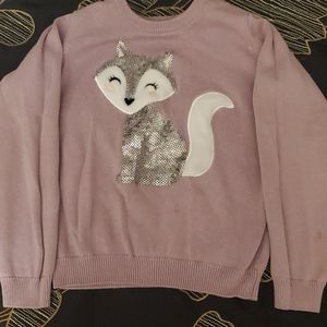 size 4t sweater from children place